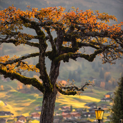 Bây giờ a biết vì sao