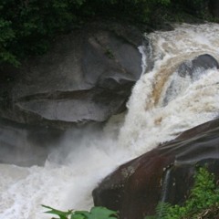 Babinda boulders - its a swift current