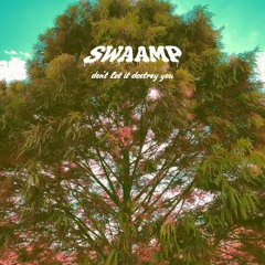 don't let it destroy you - SWAAMP
