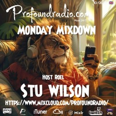 #164 Profound Radio  Progressive House  @djstuwilson