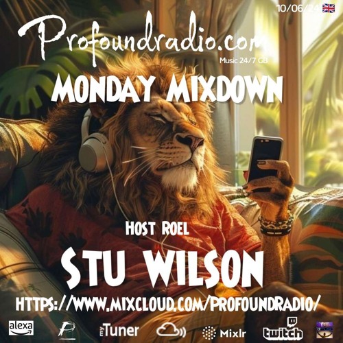#164 Profound Radio  Progressive House  @djstuwilson