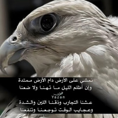 ‎⁨ابو حمزه الحنفاشي - شيلة القضاء والقدر - 2025 ( حصرياً ) Abu Hamza Al-Hanafshi⁩.m4a