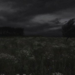 shit... it's already 3 am?