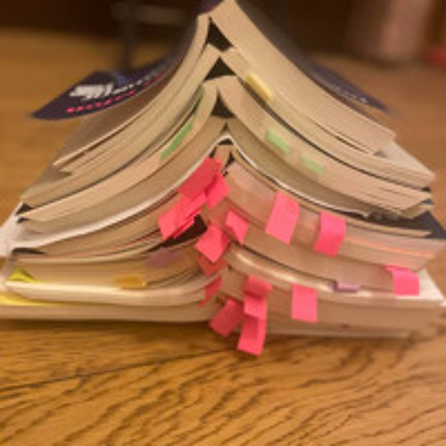 lectures électriques EFFRACTIONS 2025 - Bpi Centre Pompidou