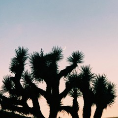 Sunday's Sunset Set