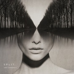 Split