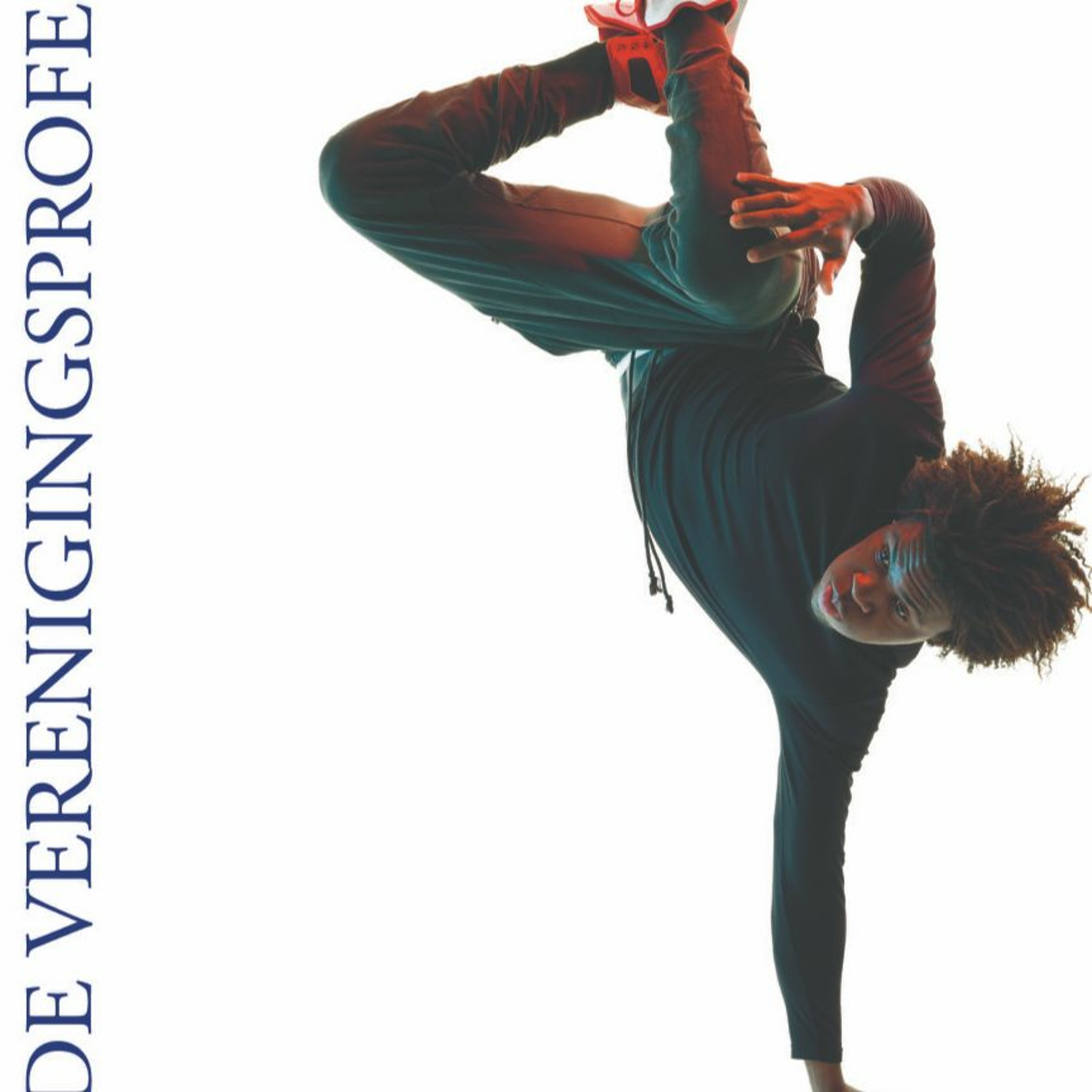 VP de Verenigingsprofessional