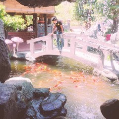 Việt Mixxx -  Đánh MấT Em  Ai Mang Cô Đơn Đi