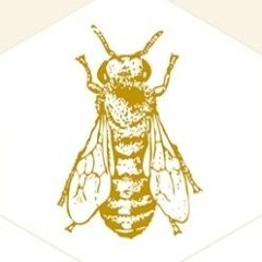 DaiDay! - bee( dev2fiyaa)