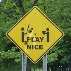 PLAY NICE