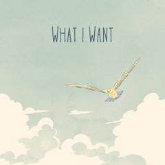 What I Want