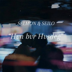 SELMON & SEILO - HVN BVR HVSDEG