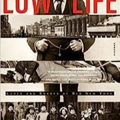 Read Book Low Life: Lures and Snares of Old New York
