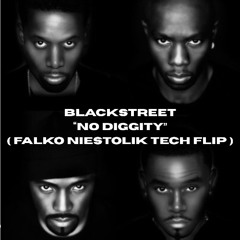 Blackstreet - No Diggity ( Falko Niestolik Tech Flip ) FREEDOWNLOAD