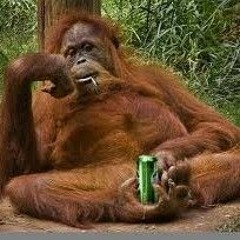 Ноггано-Пьяница ft скриптонит (speed up)