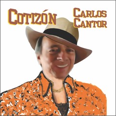 1 - COTIZÓN