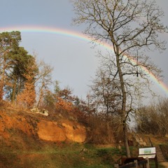 Extrait Une soirée avec Eric et ses brebis sur les côteaux de Pierrefitte