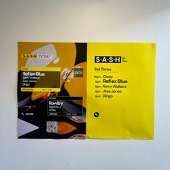 DINGO @ SASH BY DAY 23/02/25