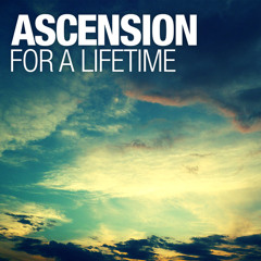 For A Lifetime (Instrumental Mix)