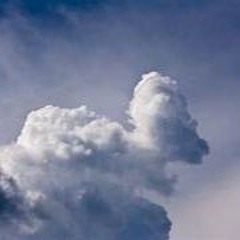 Screaming From The Clouds