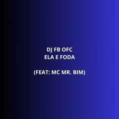 Ela É Foda (feat. Mc Mr. Bim)