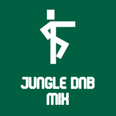 Jungle DnB Mix