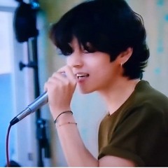 BTS In the soop "V" Love twist