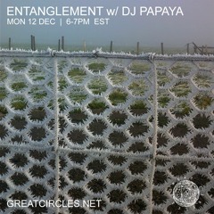 Entanglement w/ DJ Papaya - 12Dec2022