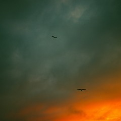 Chill Dub Vol 2
