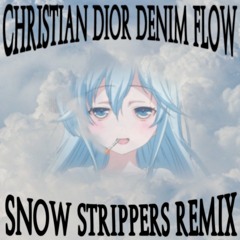 Christian Dior Denim Flow (Snow Strippers Remix)