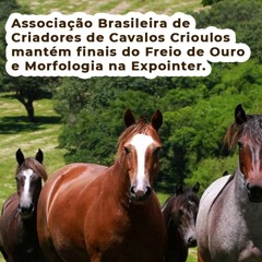 Associação Brasileira Criadores de Cavalos Crioulos mantém finais do Freio de Ouro na Expointer
