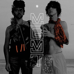 [FREE DL] MGMT - Electric Feel (Lee Runham Remix)