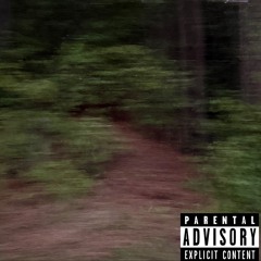 The Lonely Walk (Ft. Donny)