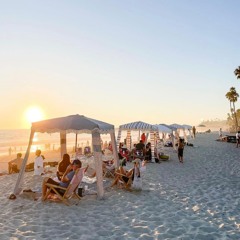 Edits, Ethnic & Everything Earthy