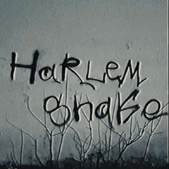 baauer - harlem shake (kalab flip)