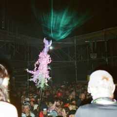 LUKA b2b Soja Cats at Schwing und Stampf Festival 2025