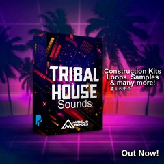 Aurelio Mendes Tribal House Sounds Vol. 4