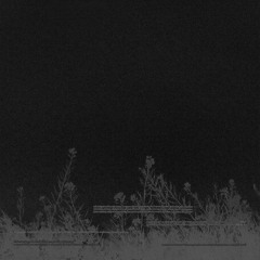 PREMIERE: Diasiva – Grappling [Bedouin]