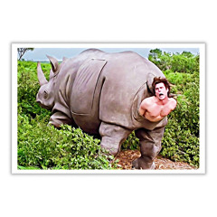 the mother rhino is giving birth Feat. Zane Tomich