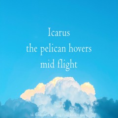 halF pelicaN [naviarhaiku462]