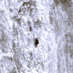 this wall - lionthekiddd