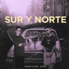 Nengo Flow X Anuel AA - Sur Y Norte (Rafa Vio Remix) Urban House