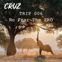 TRIP 006 No Fear The FRO (Afro House Mix)