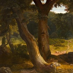 Through the Forest