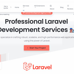 Professional Laravel Development Services