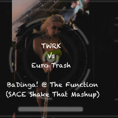BaDinga! @ The Function (SACE Shake That Mashup)