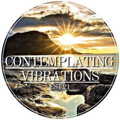 Contemplating Vibrations [#14] Paranoid SouL