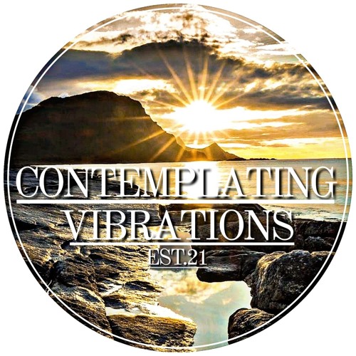 Contemplating Vibrations [#14] Paranoid SouL