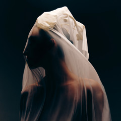 Останні мрії (Reimagined)