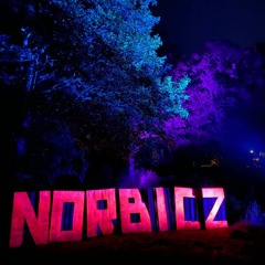 metocin: PROMO DJ set for NORBICZ festival